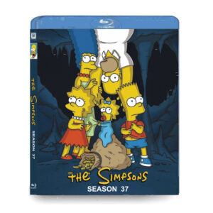 The Simpsons Season 37 (2-Disc Blu-ray Box Set)